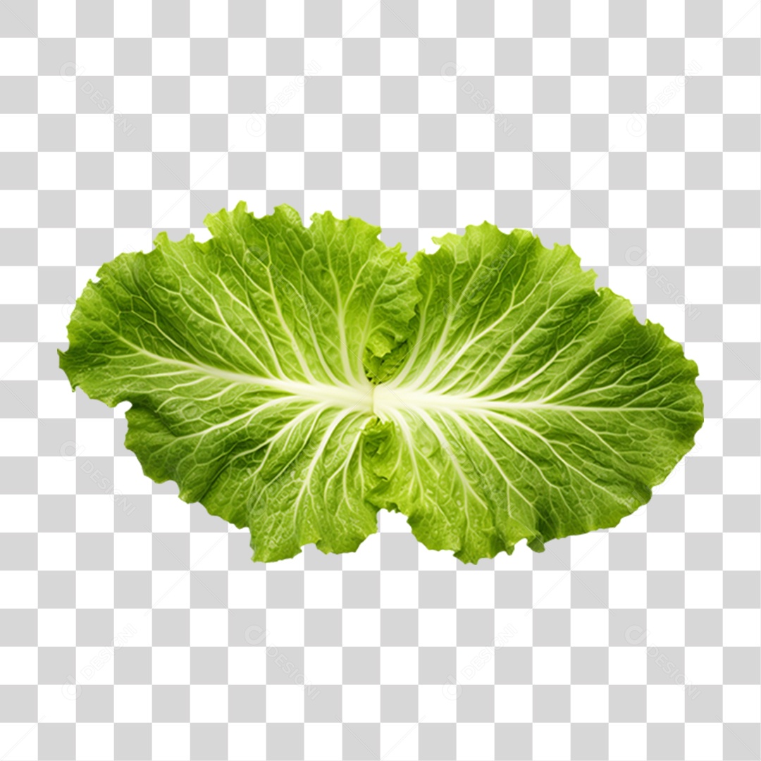 Verduras e Legumes Comidas Saudáveis PNG Transparente