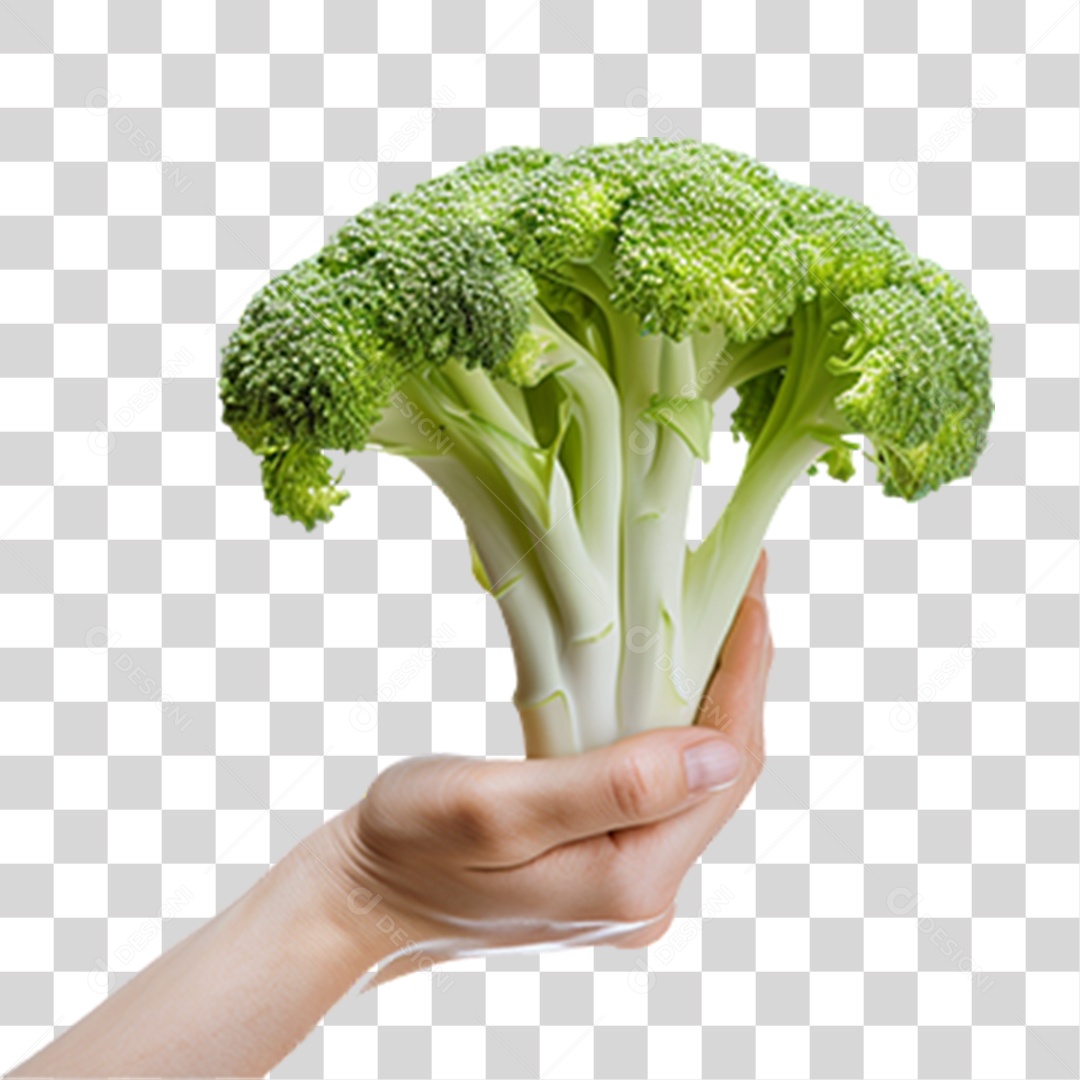 Verduras e Legumes Comidas Saudáveis PNG Transparente