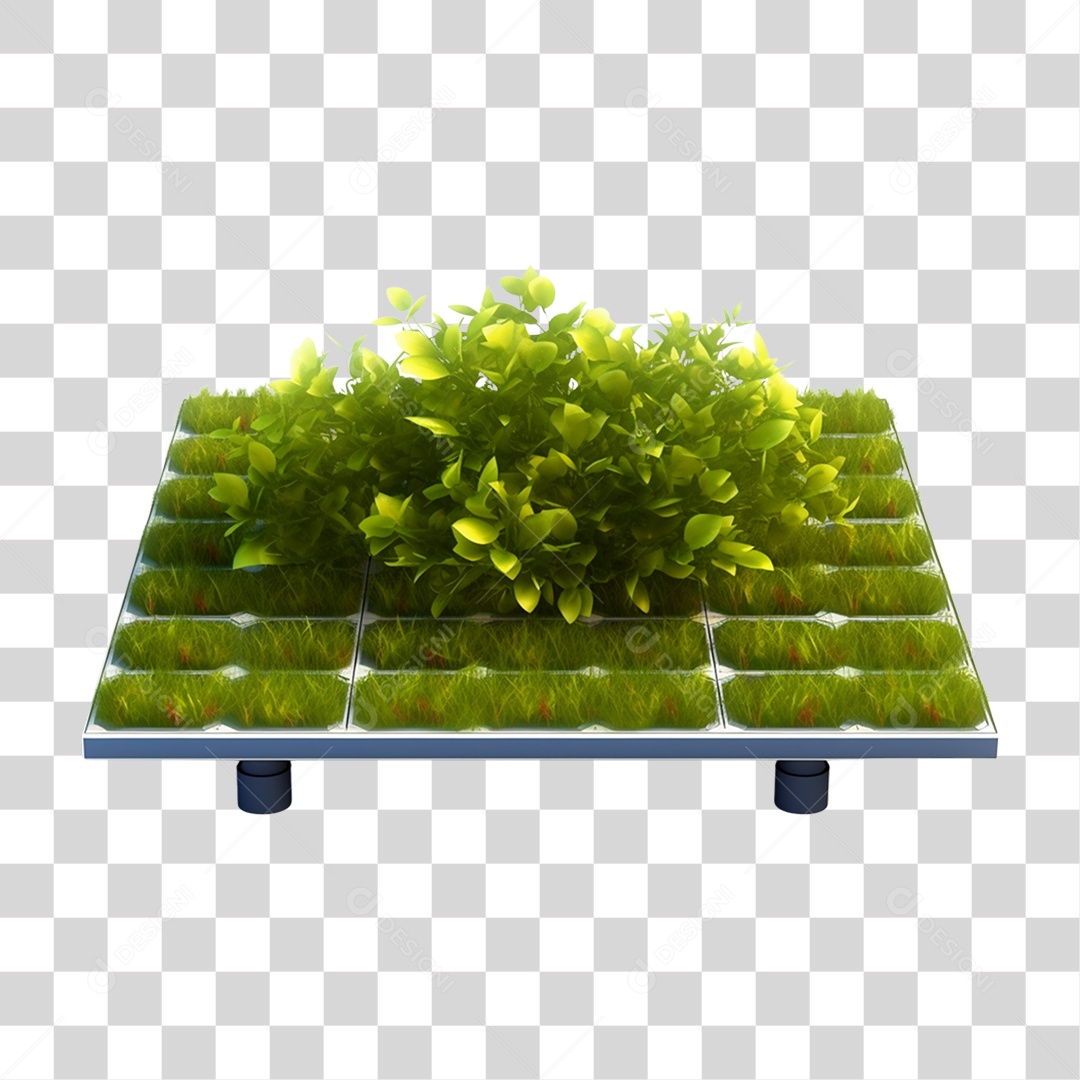 Planta em Cima de Uma Placa Solar PNG Transparente
