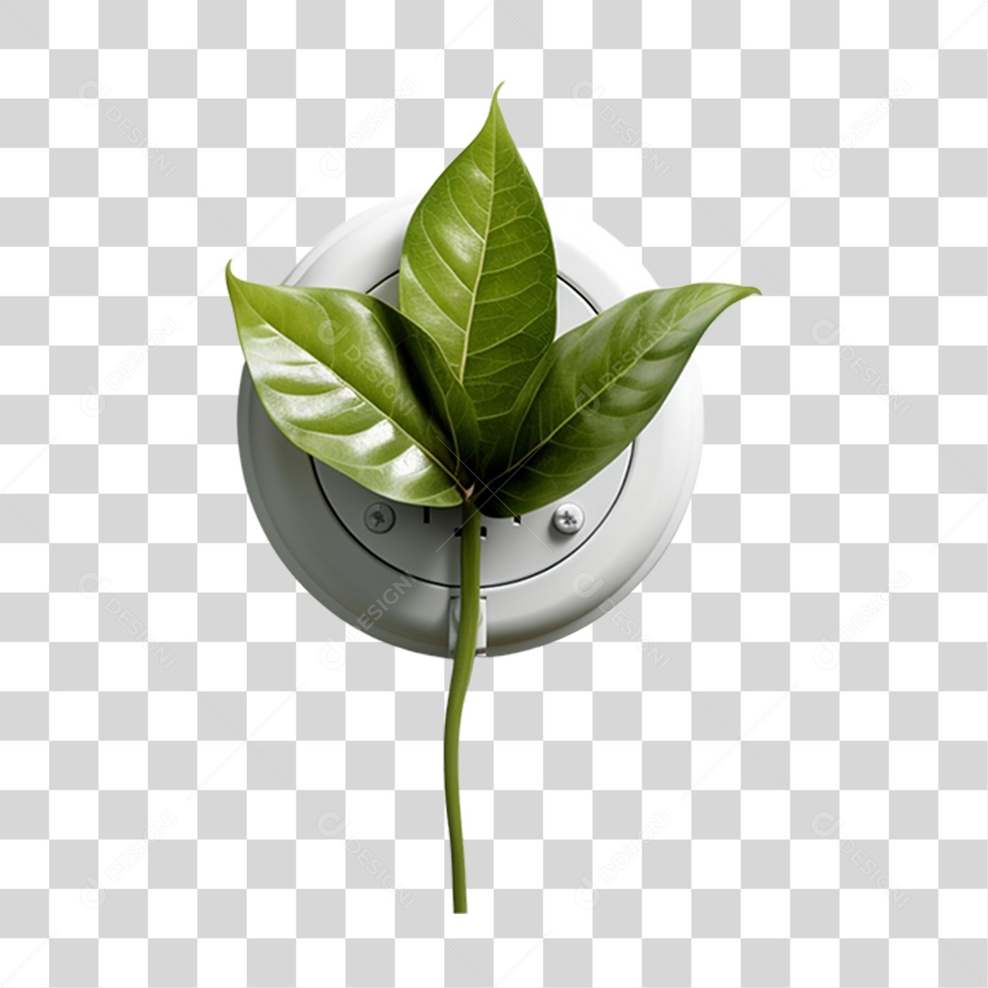 Planta em uma Tomada PNG Transparente