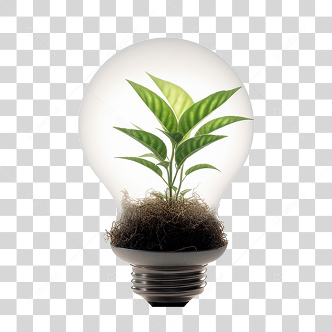 Lâmpada com Planta Dentro PNG Transparente