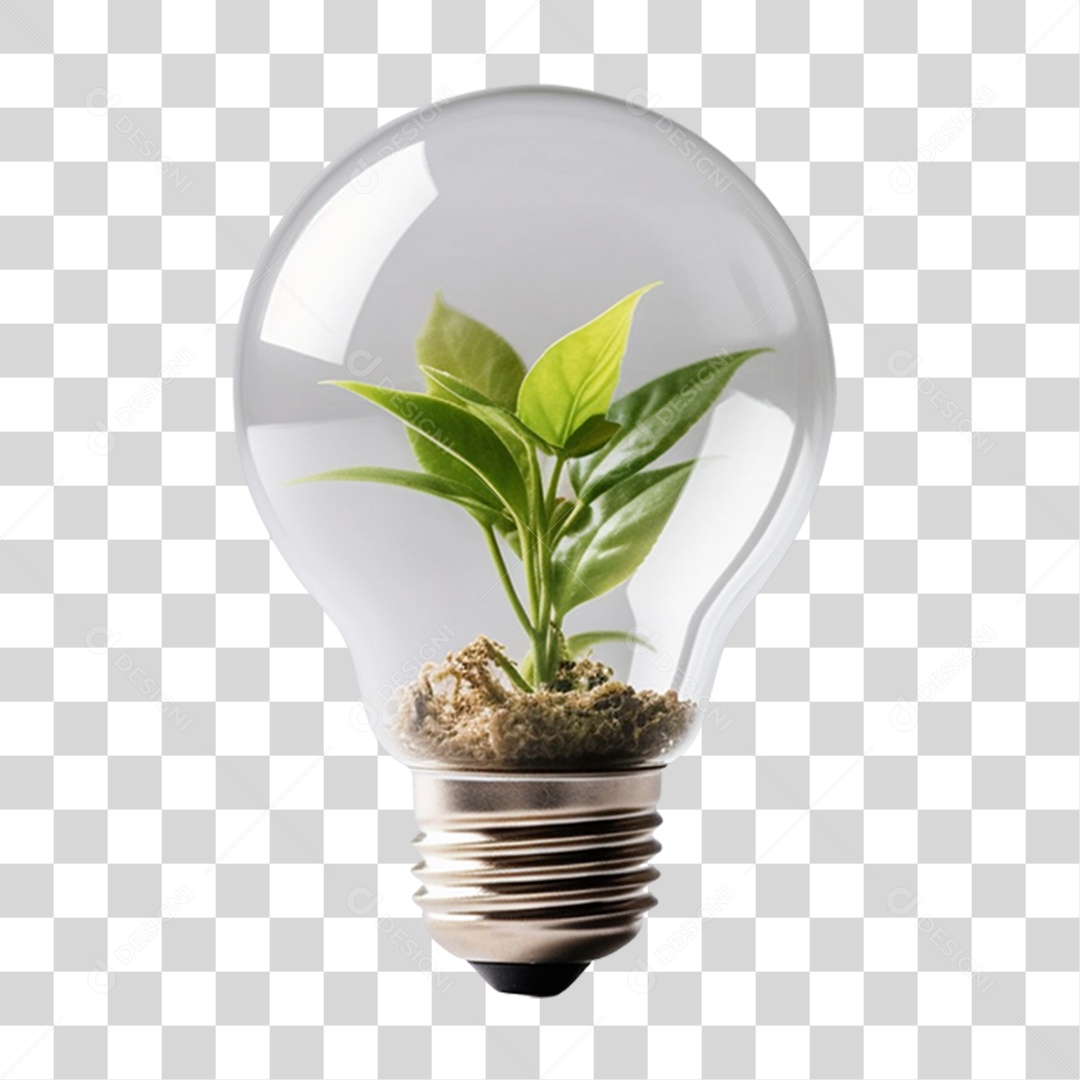 Lâmpada com Planta Dentro PNG Transparente