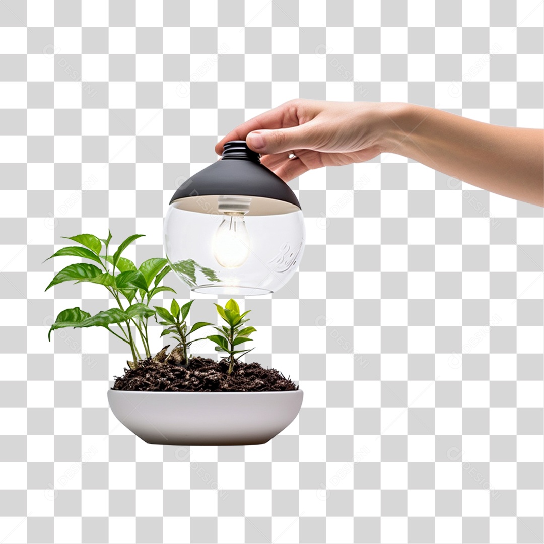 Mão Segurando Lâmpada com Planta PNG Transparente