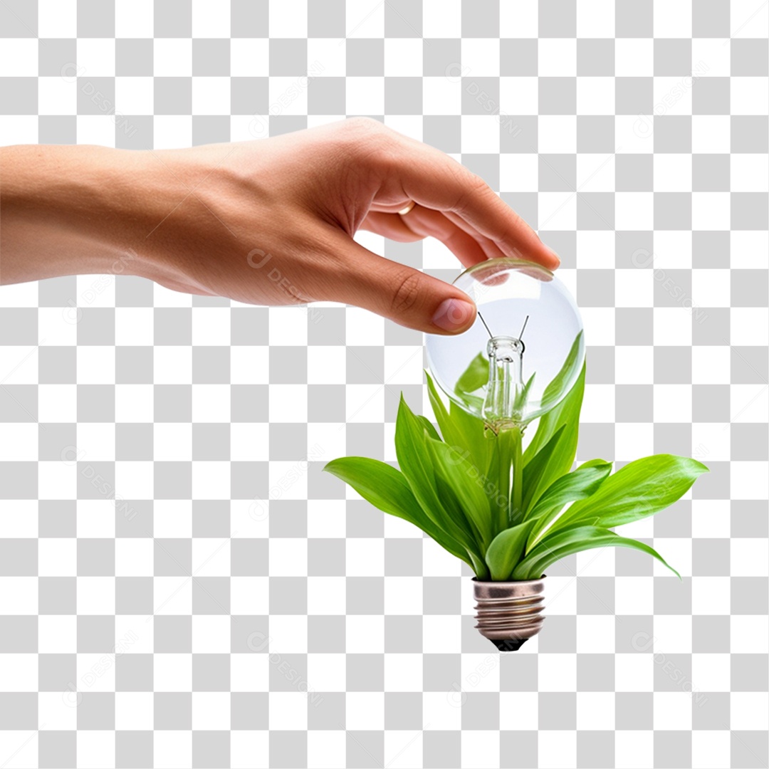 Mão Segurando Lâmpada com Planta PNG Transparente