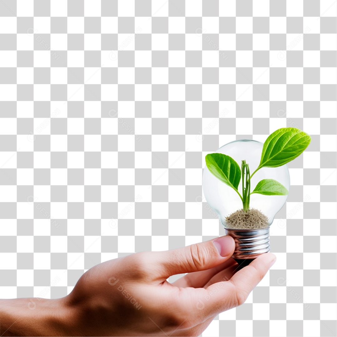 Mão Segurando uma Lâmpada Dentro PNG Transparente