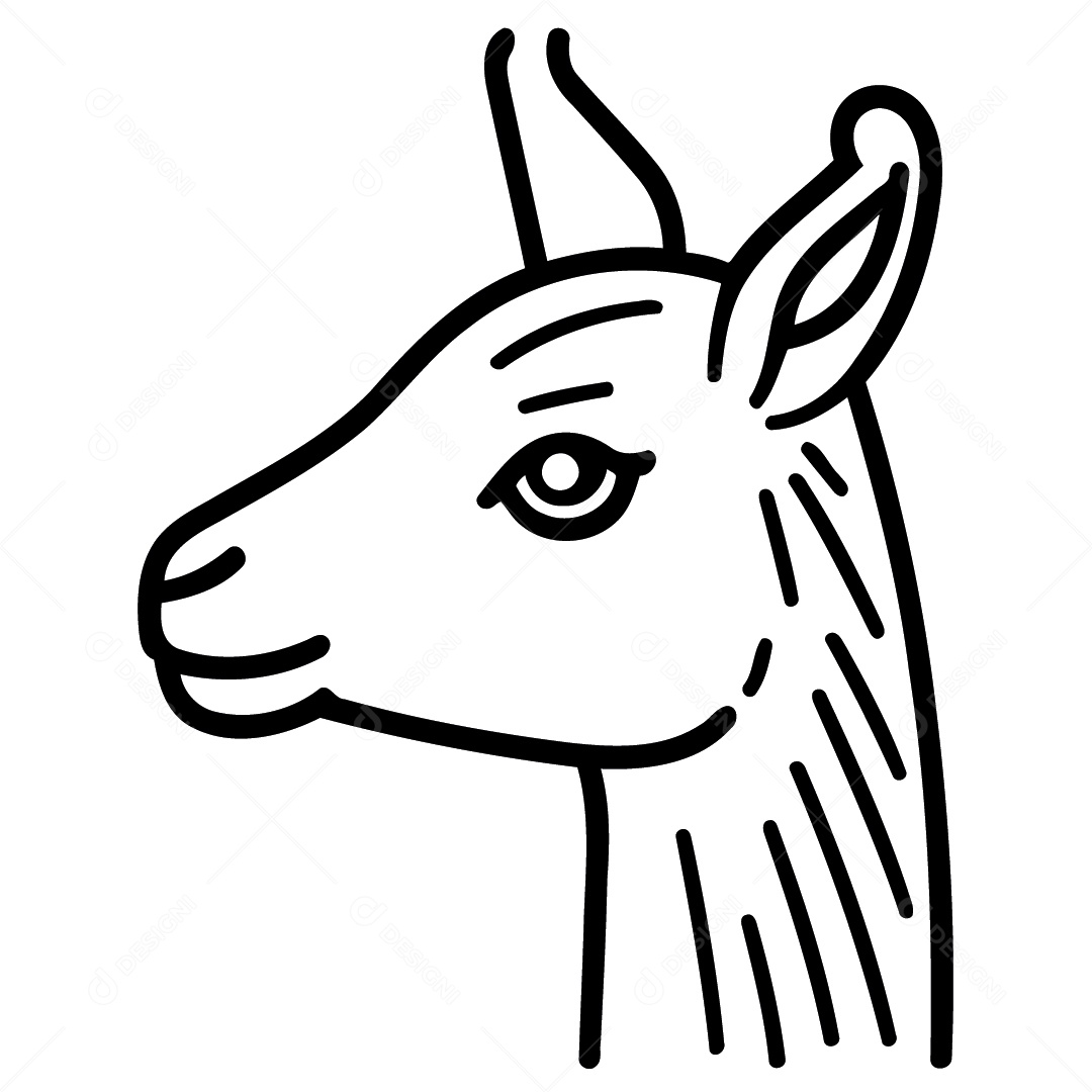 Desenho De Lhama Vetor EPS