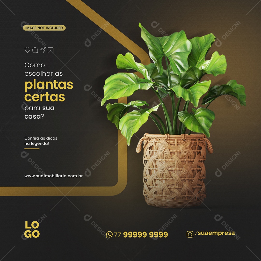 Plantas Certas Imobiliária Social Media PSD Editável