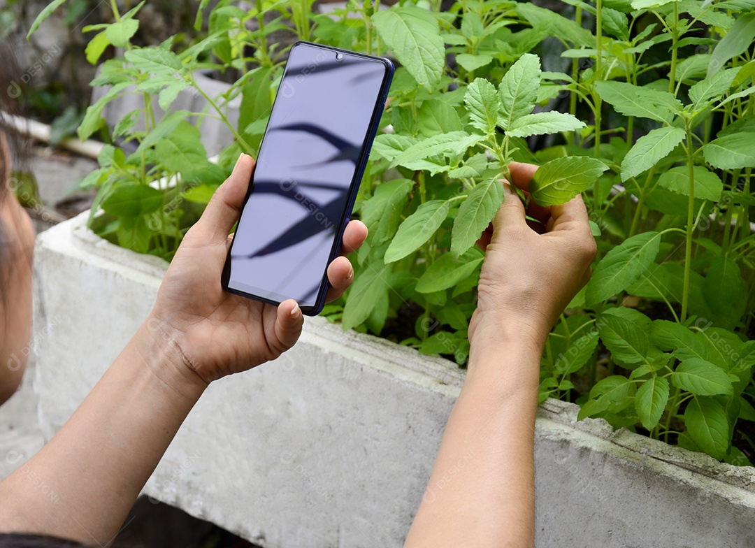 Mulher usa smartphones e aplicativos para monitorar rendimento e qualidade