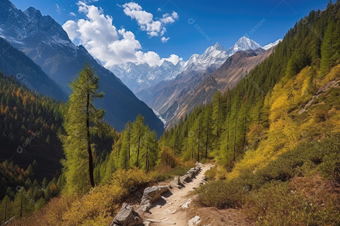 Montanha majestosa, florestas e trilhas sinuosas - paisagens deslumbrantes