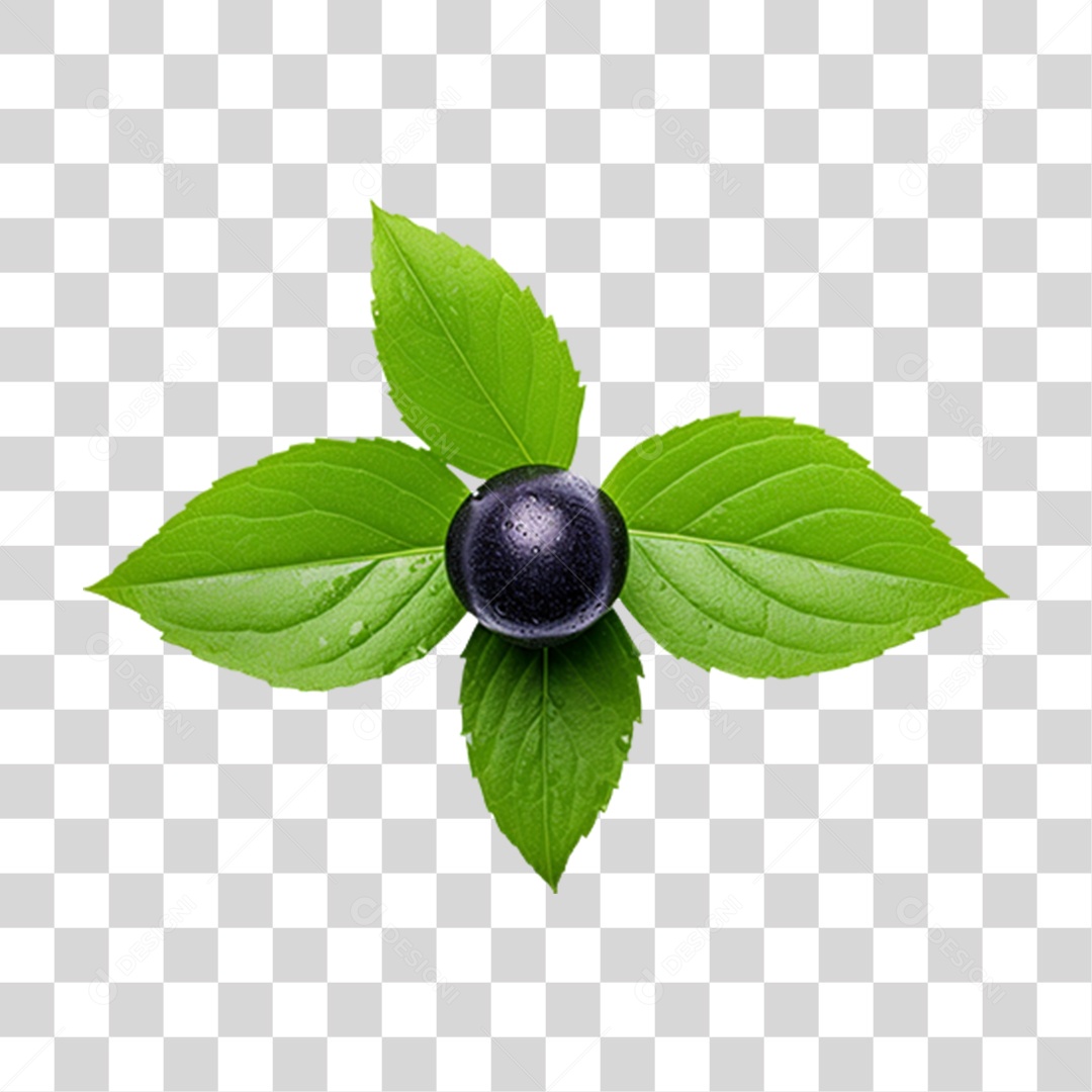 Frutas Verduras e Legumes Comidas Saudáveis Uvas PNG Transparente