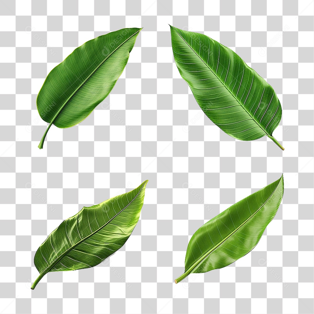 Folhas Verdes PNG Transparente