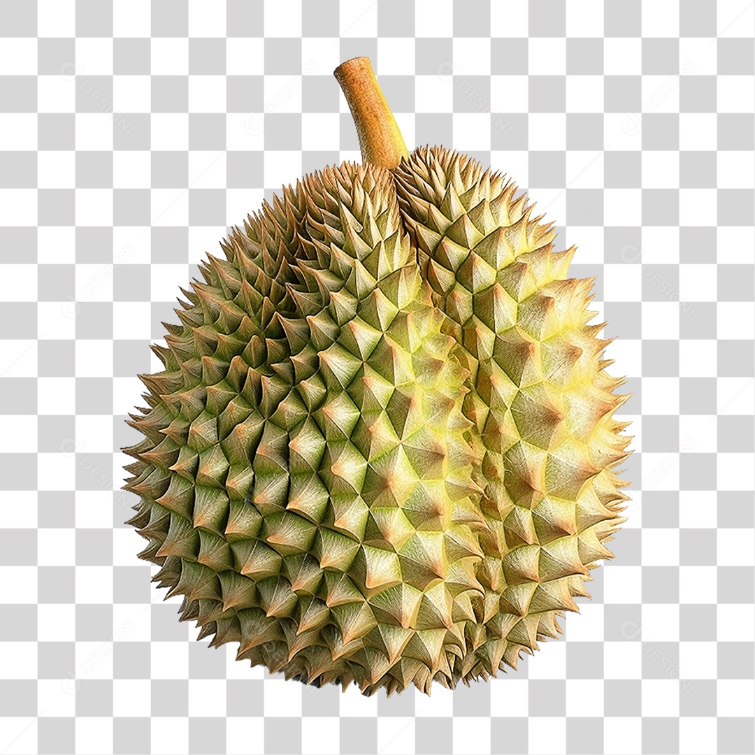 Fruta Durião PNG Transparente