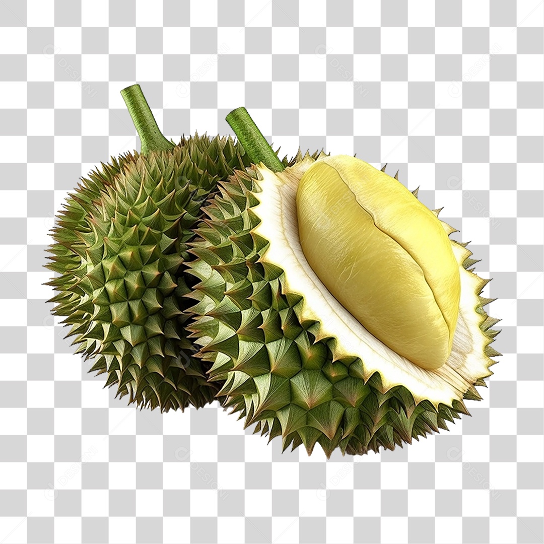 Fruta Durião PNG Transparente