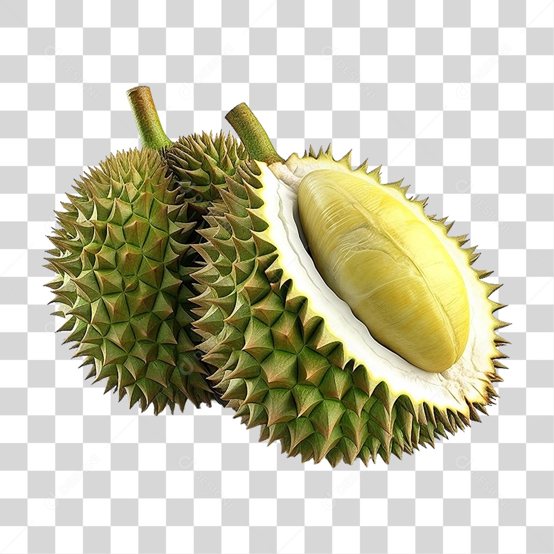 Fruta Durião PNG Transparente