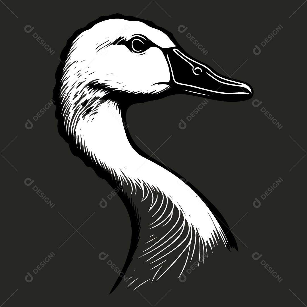 Pato Desenho Vetor EPS