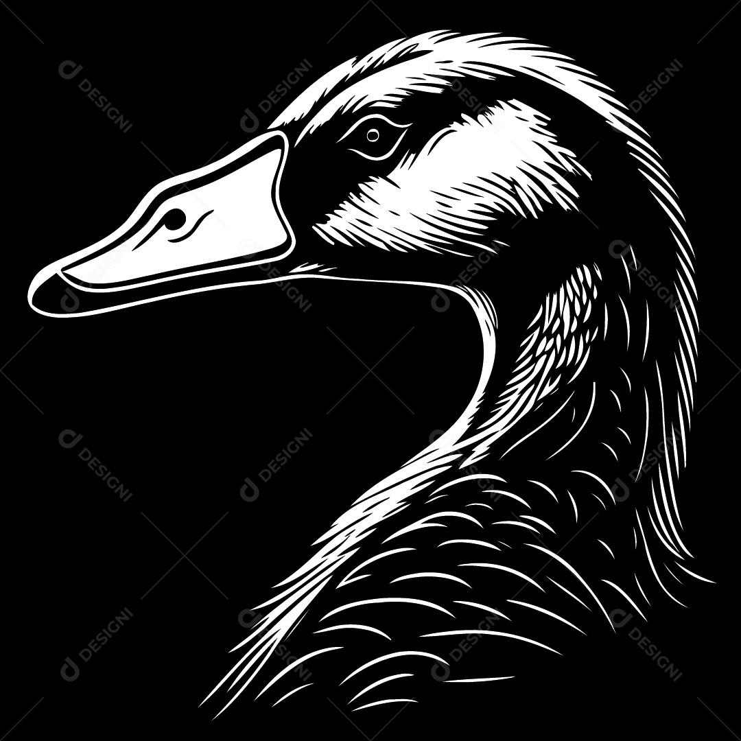 Pato Desenho Vetor EPS