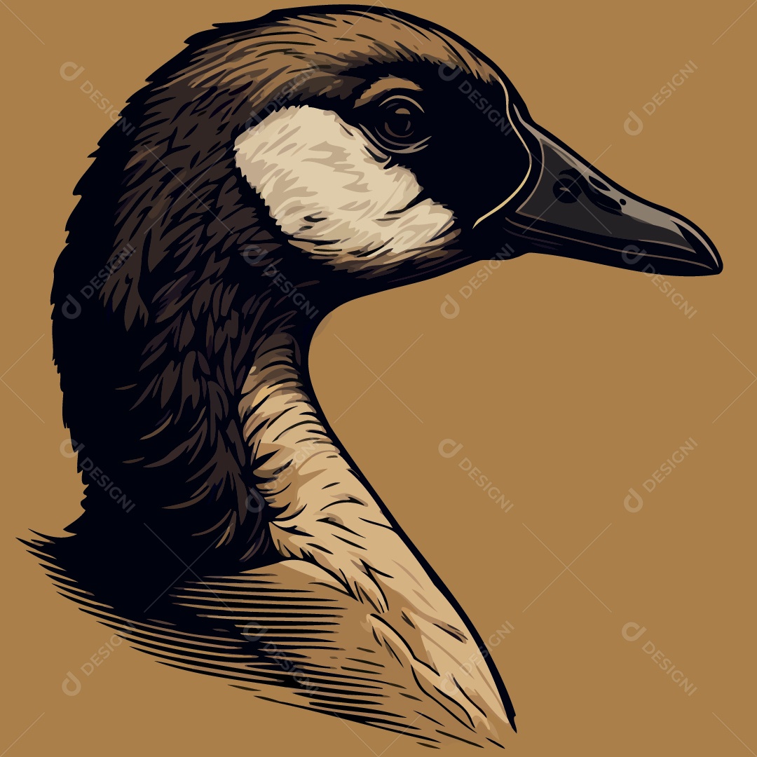 Pato Desenho Vetor EPS