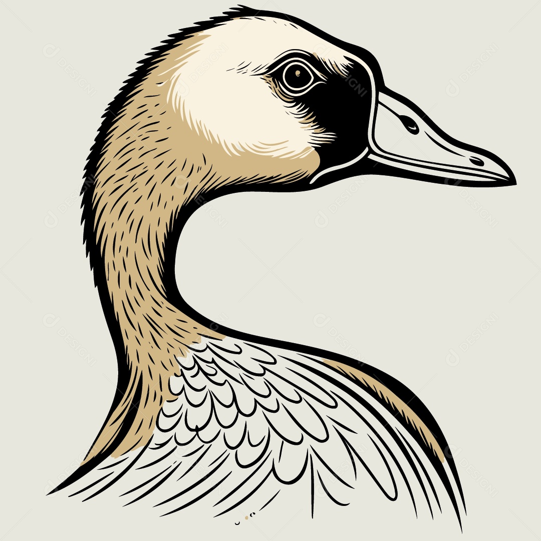 Pato Desenho Vetor EPS