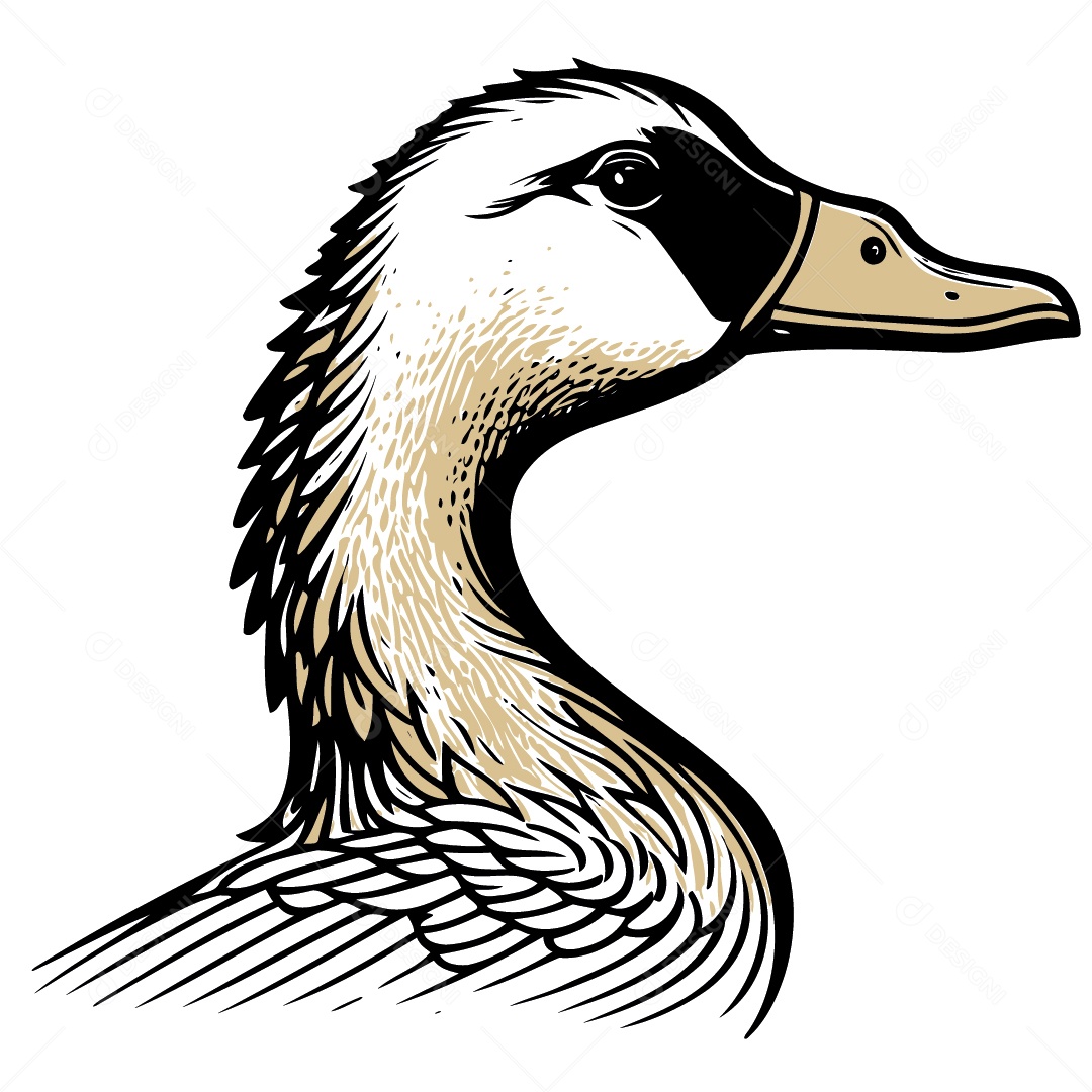 Pato Desenho Vetor EPS