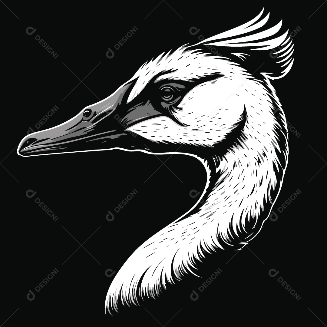 Pato Desenho Vetor EPS