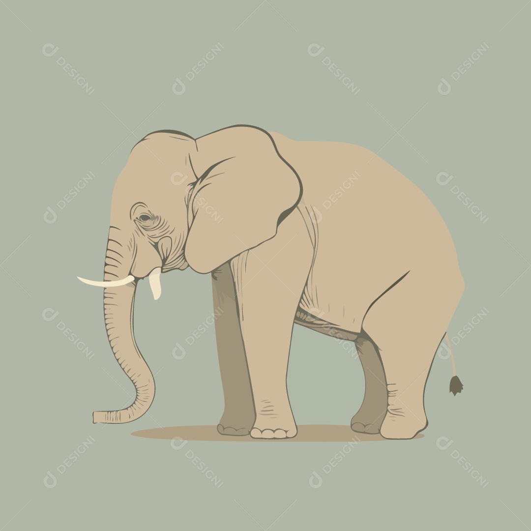 Elefante Ilustração Vetor EPS