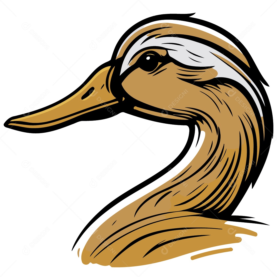 Pato Ilustração Vetor EPS