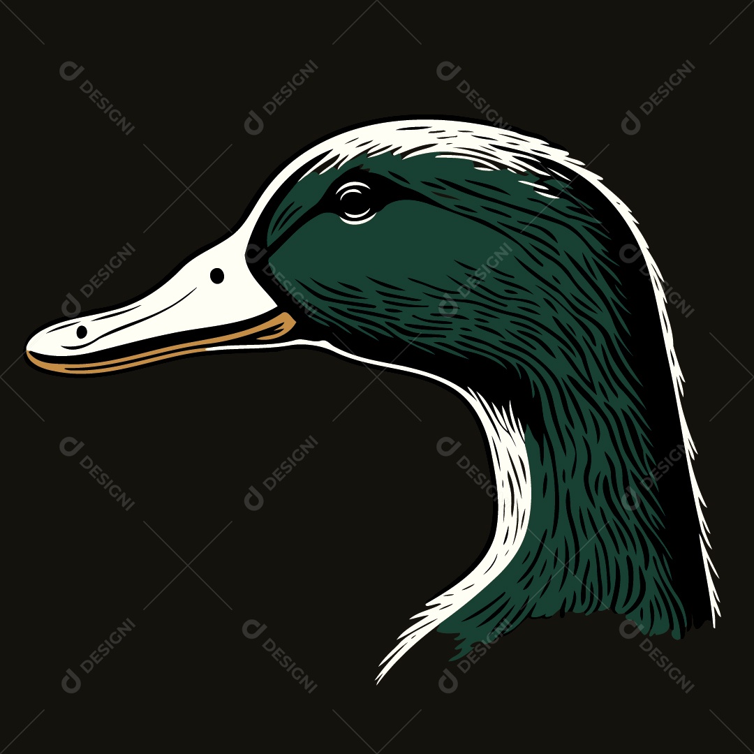 Pato Ilustração Vetor EPS