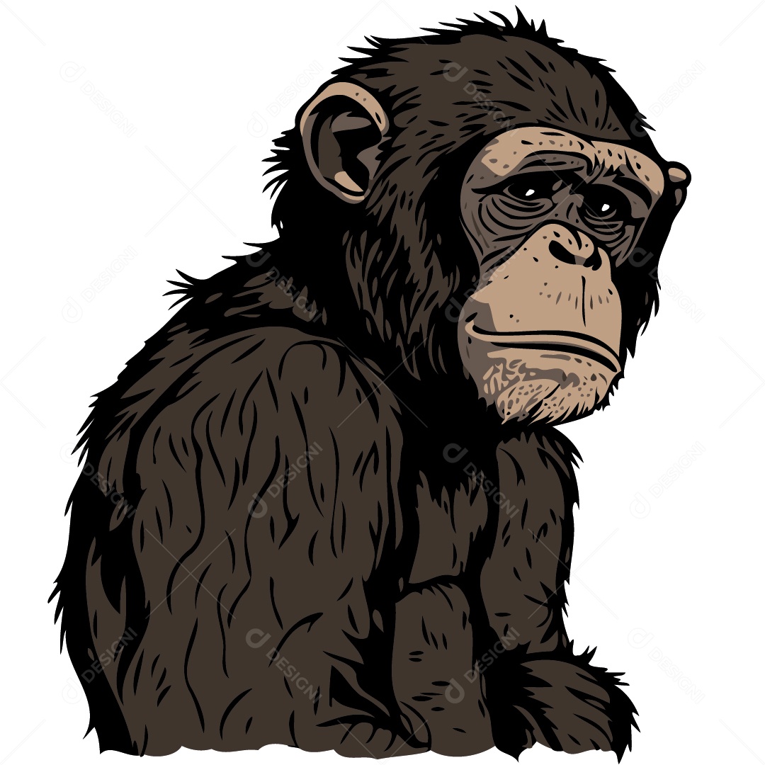 Chimpanzé Ilustração Vetor EPS