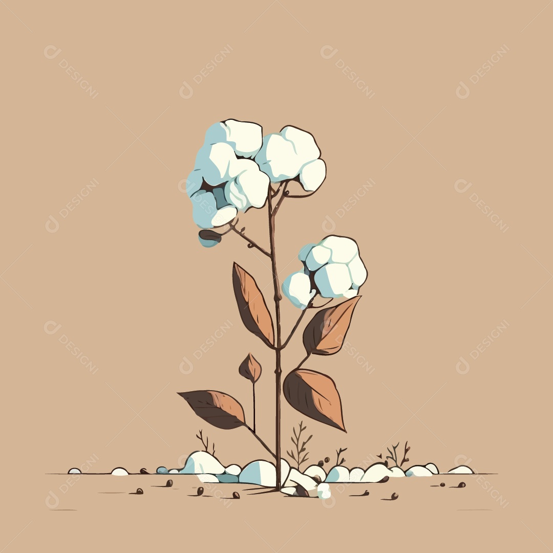 Algodão Ilustração Vetor EPS