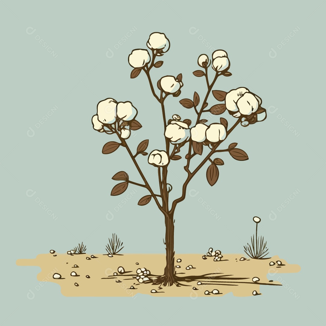 Algodão Ilustração Vetor EPS