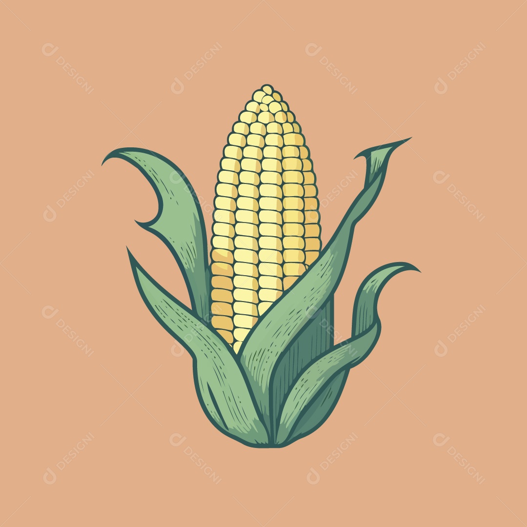 Espiga de Milho Ilustração Vetor EPS