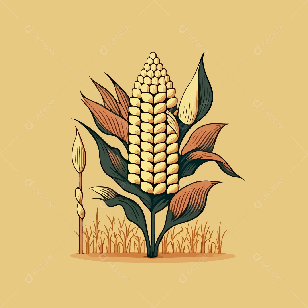 Espiga de Milho Ilustração Vetor EPS