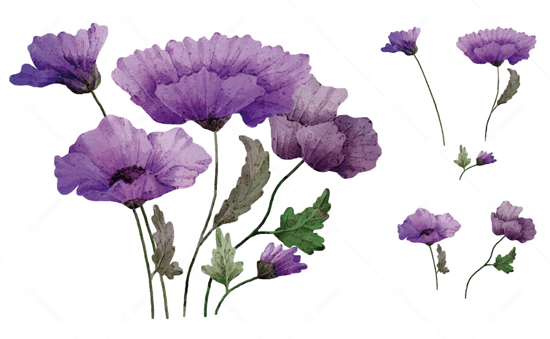 Flores Ilustração Vetor EPS