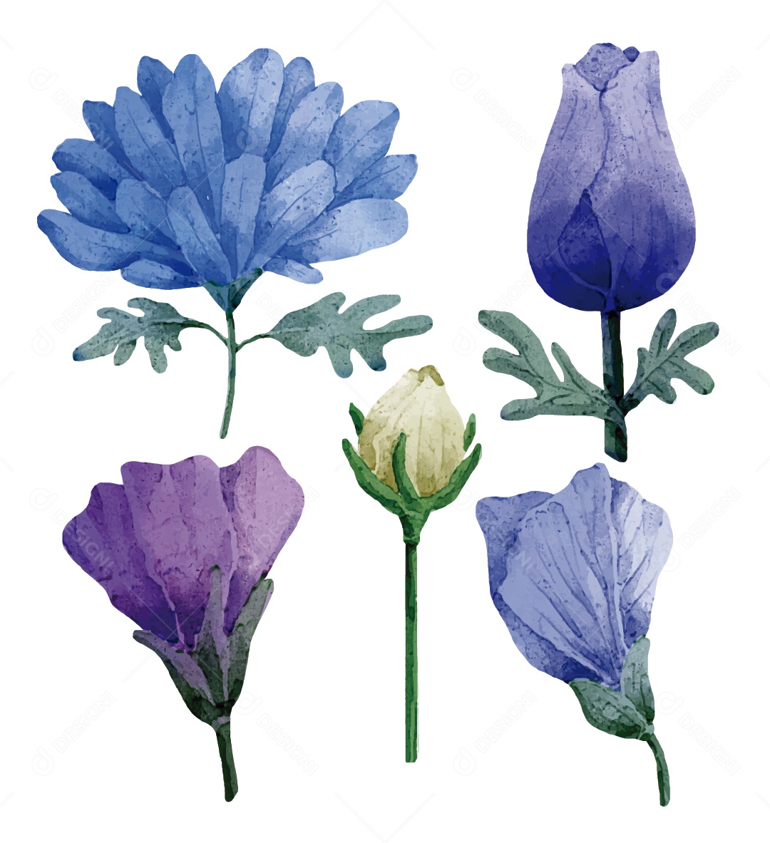 Flores Ilustração Vetor EPS