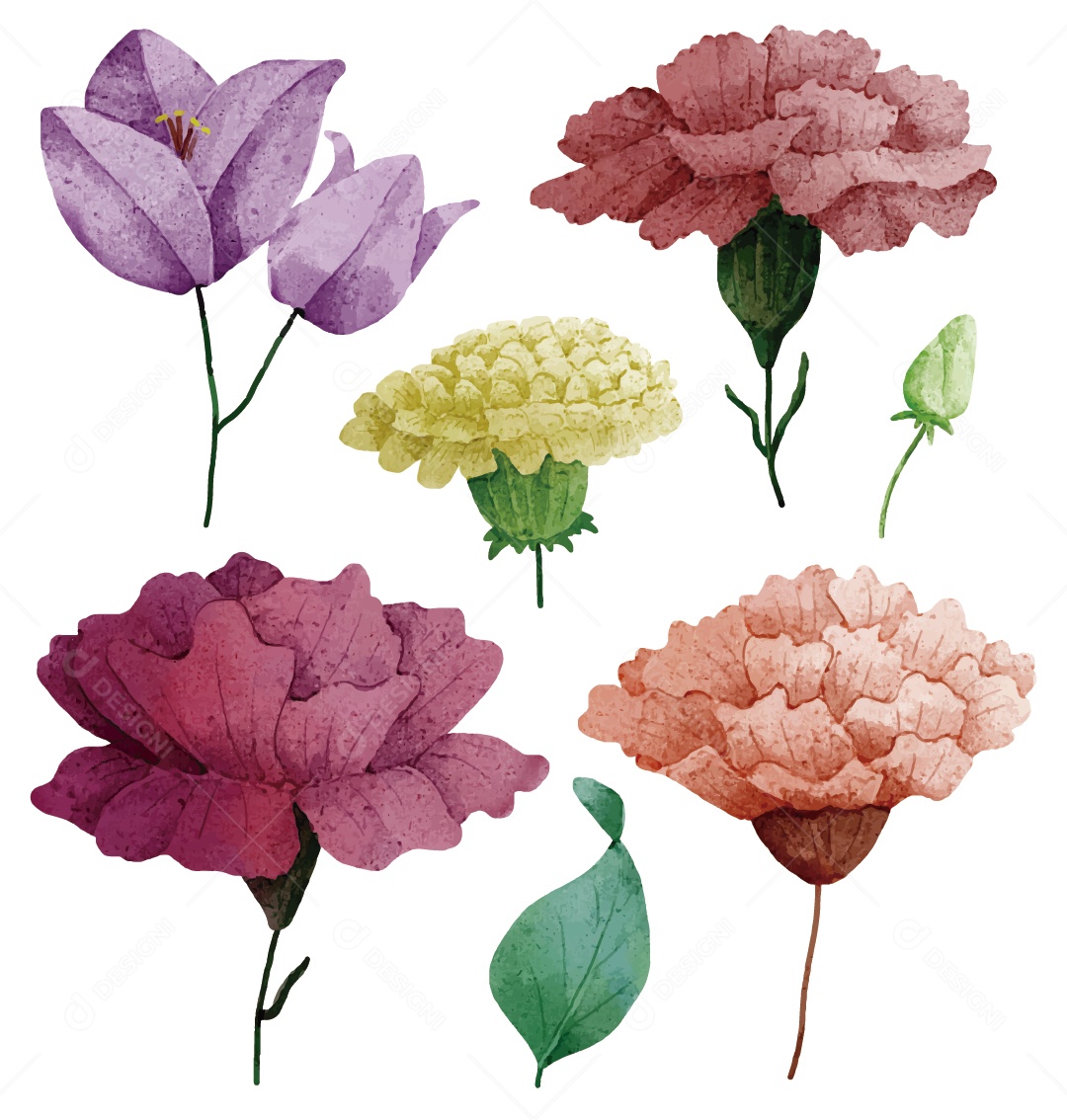 Flores Ilustração Vetor EPS