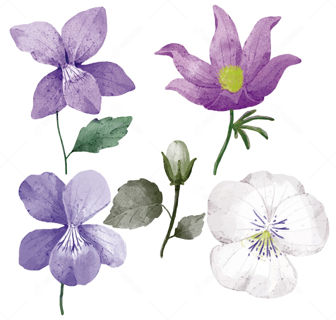 Flores Ilustração Vetor EPS