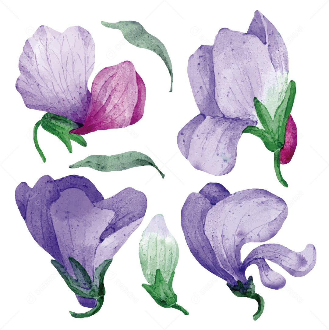 Flores Ilustração Vetor EPS