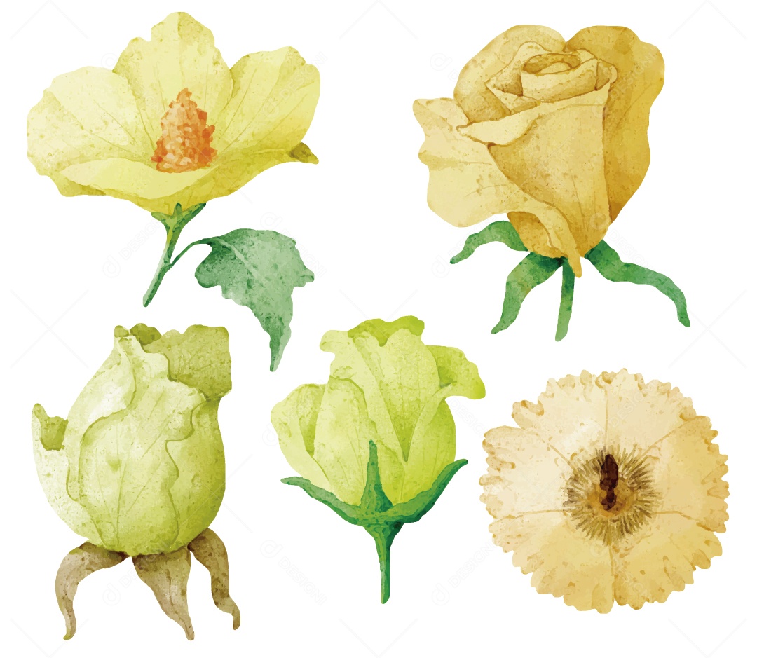 Flores Ilustração Vetor EPS