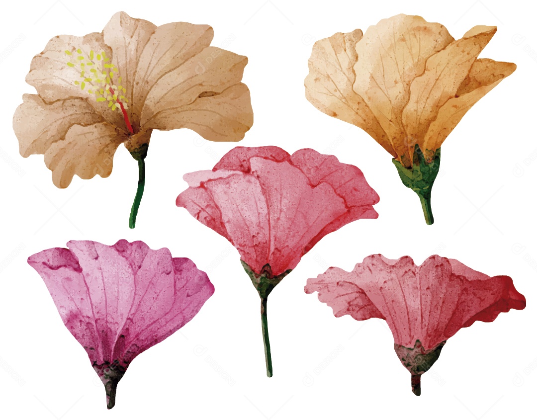 Flores Ilustração Vetor EPS