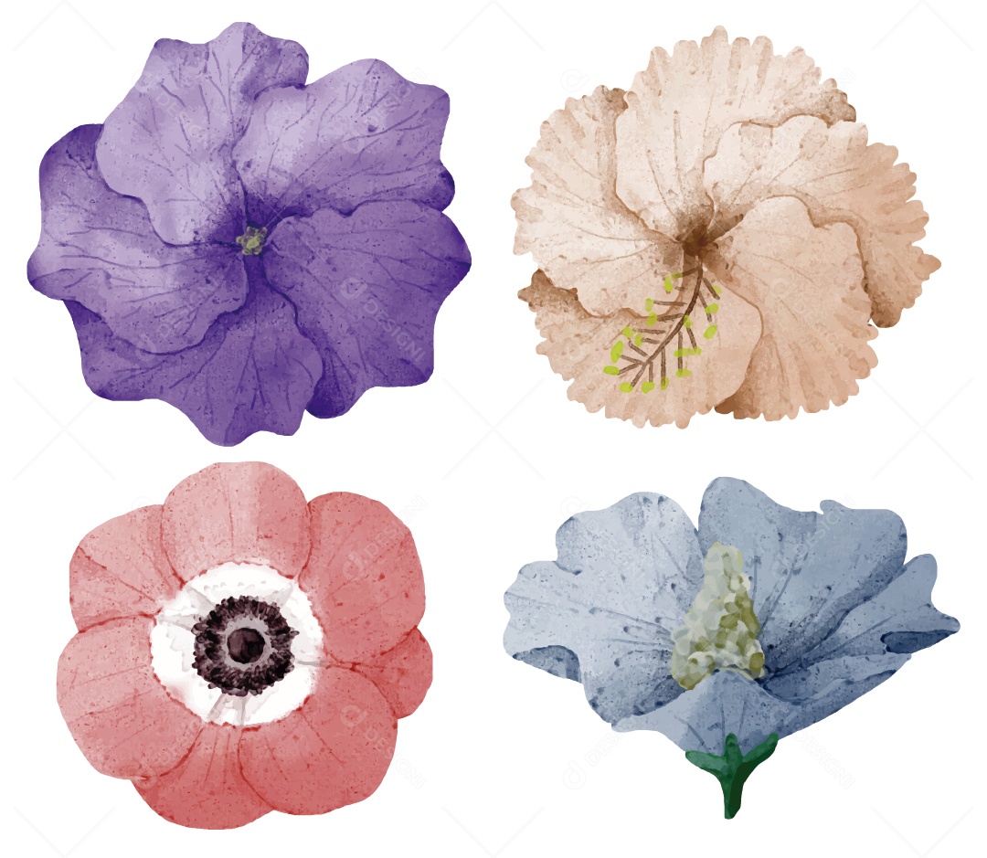 Flores Ilustração Vetor EPS