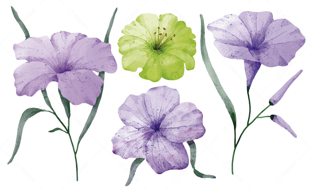 Flores Ilustração Vetor EPS