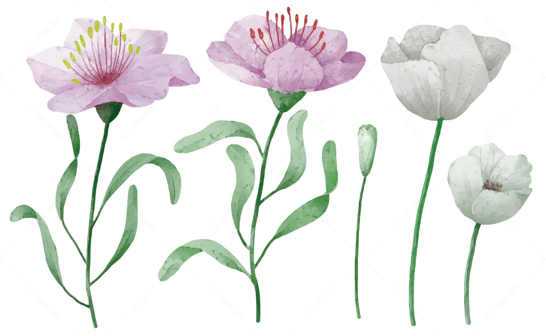 Flores Ilustração Vetor EPS