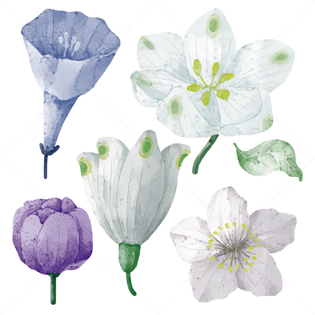 Flores Ilustração Vetor EPS