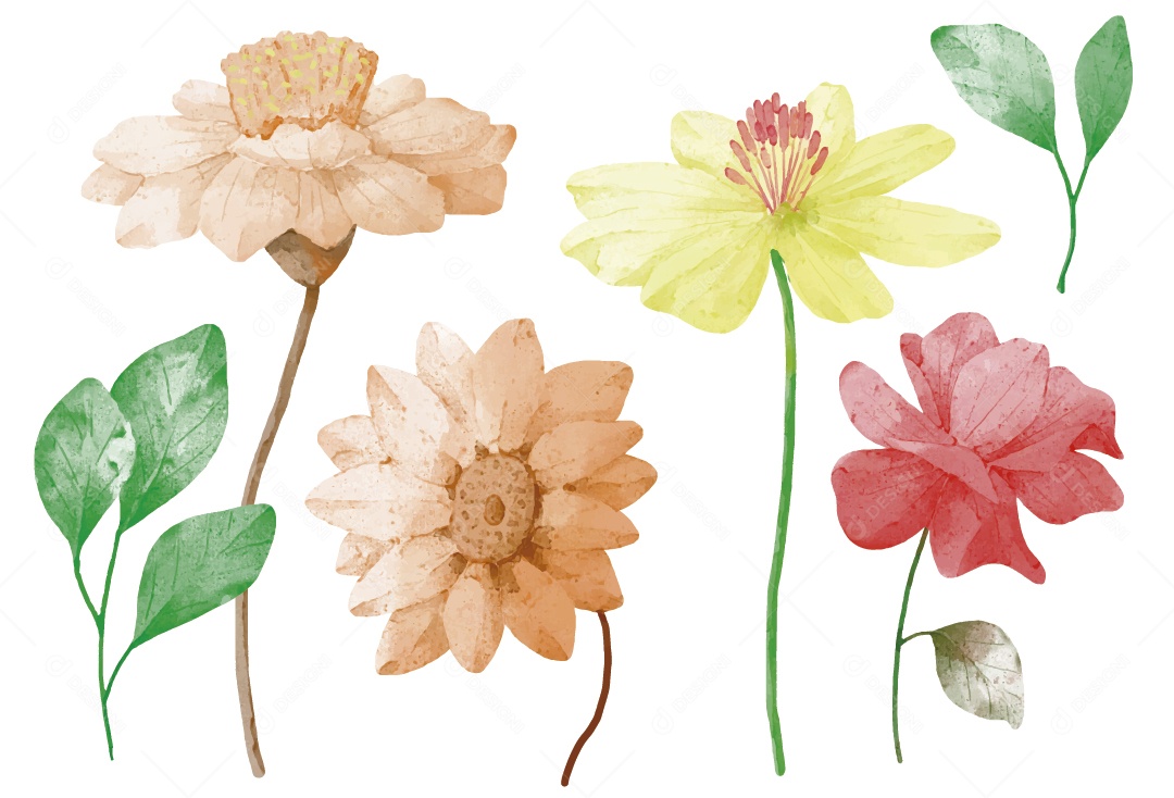 Flores Ilustração Vetor EPS