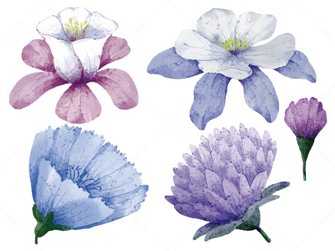 Flores Ilustração Vetor EPS