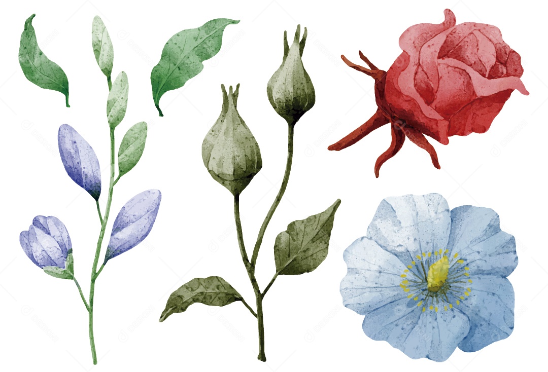 Flores Ilustração Vetor EPS