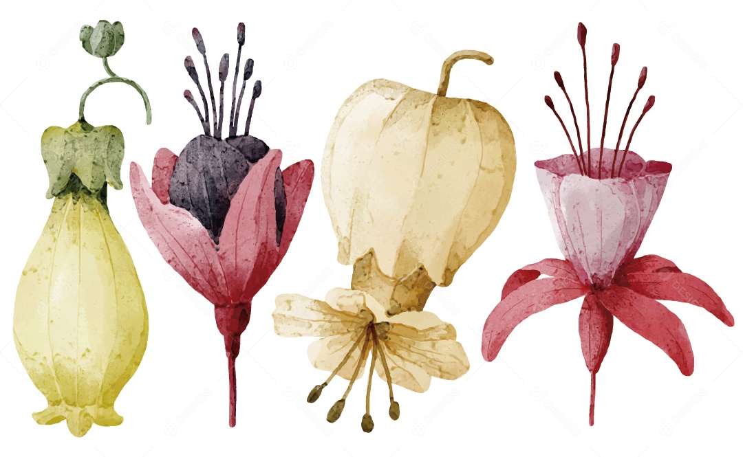 Flores Ilustração Vetor EPS