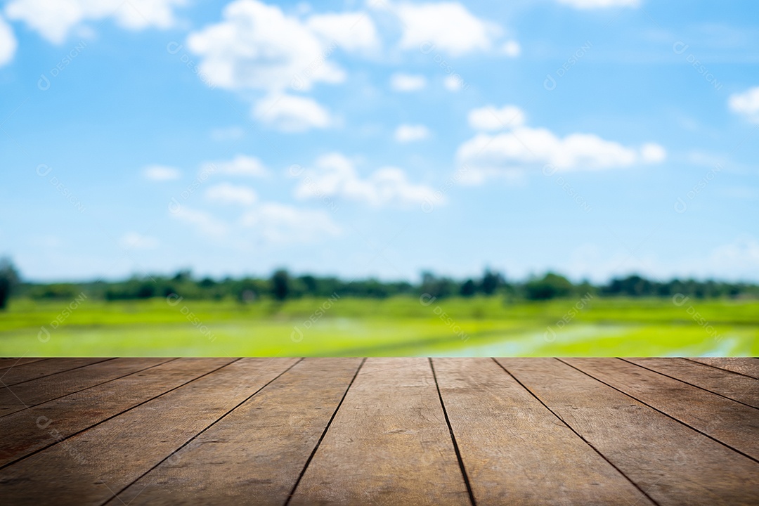 Piso de madeira velho ao lado do campo de arroz verde natural e céu azul turvo com fundo branco.