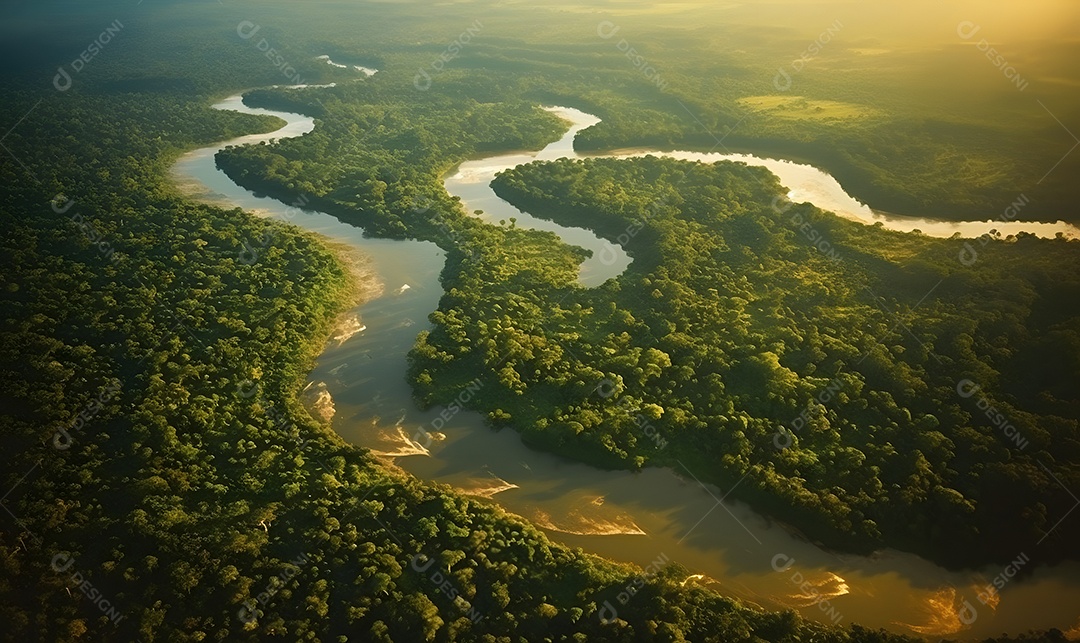Vista aérea do rio passando sobre a mata