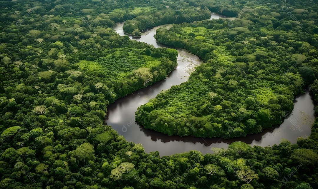 Vista aérea do rio passando sobre a mata
